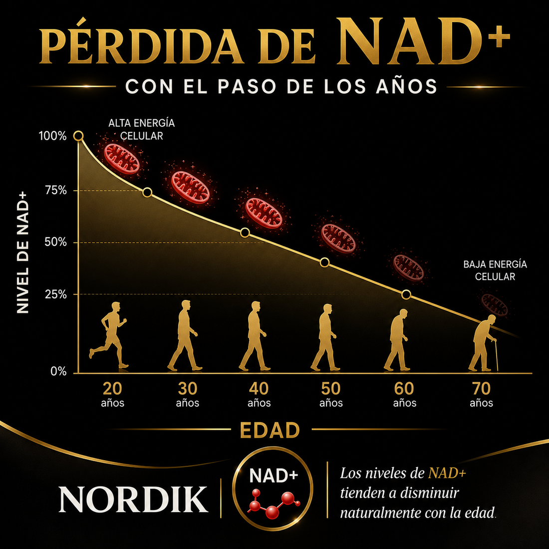NORDIK® NAD+ Complex - Recupera tu masculinidad |  50% OFF